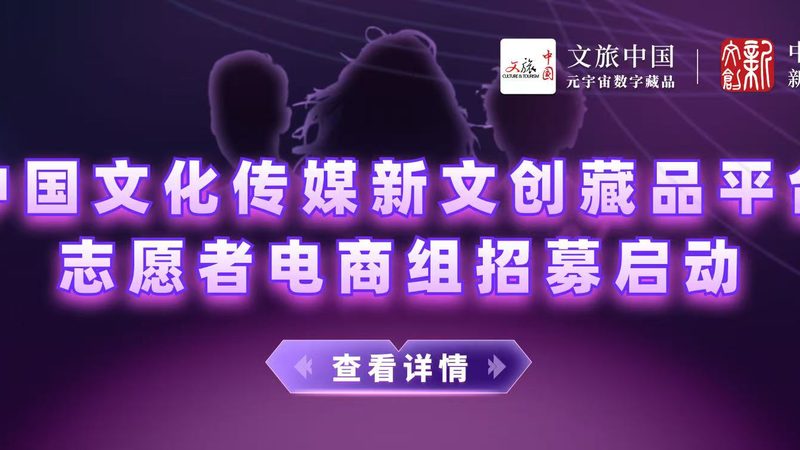 MG动画素材分类解析：解锁创意无限之门